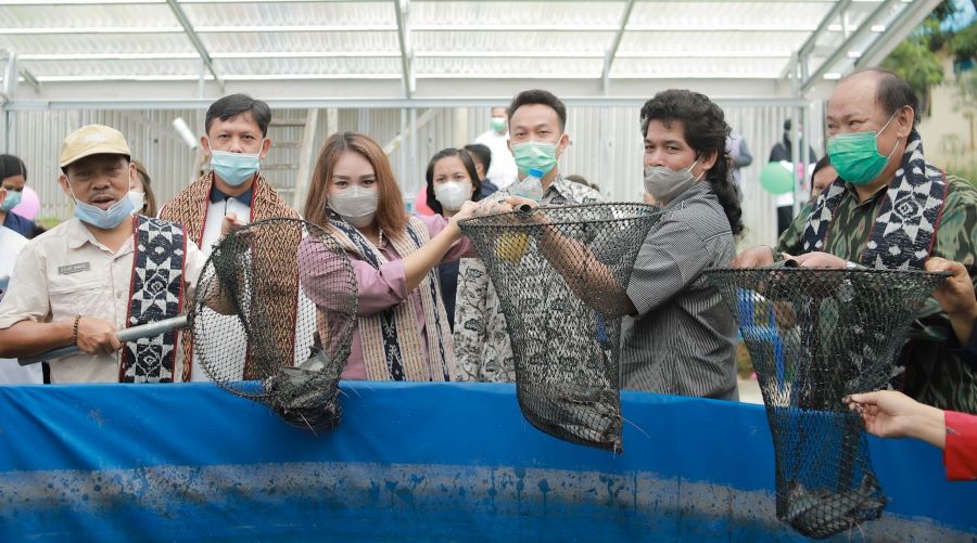 Bioflok Ikan Lele Nanga Pinoh bisa Jadi Contoh Daerah Lain